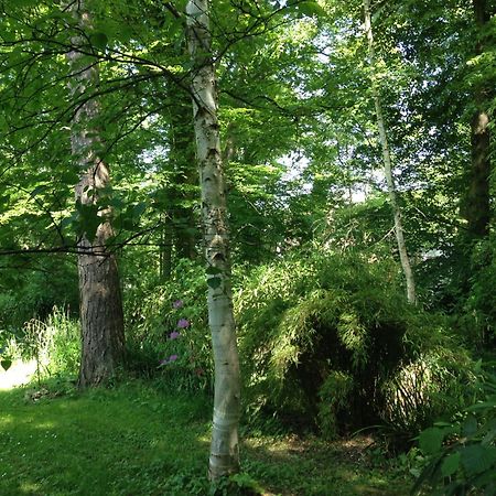 Domaine De Chantemerles Fontainebleau Exteriör bild