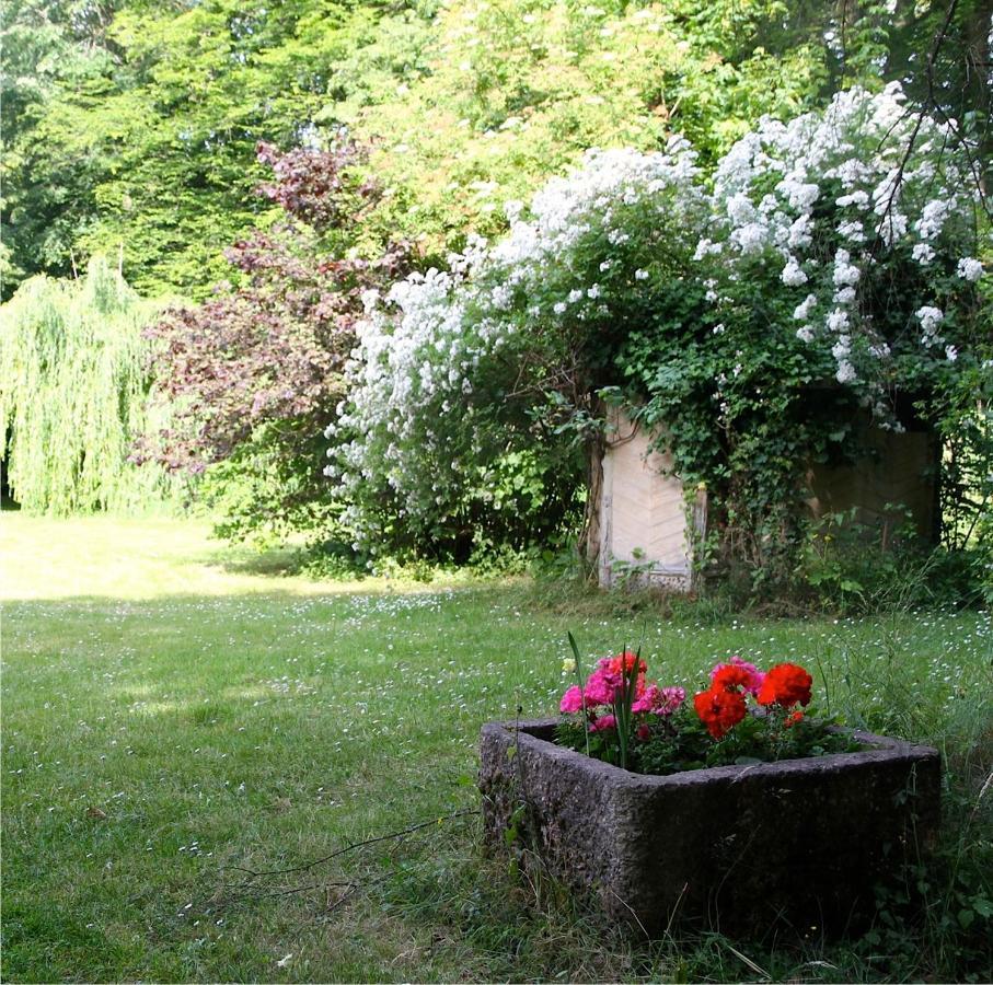 Domaine De Chantemerles Fontainebleau Exteriör bild
