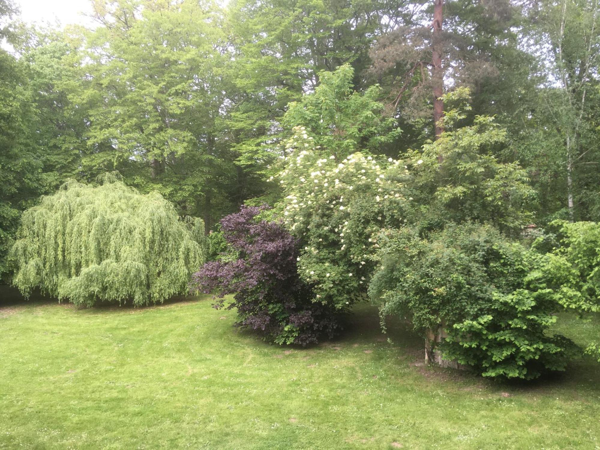 Domaine De Chantemerles Fontainebleau Exteriör bild