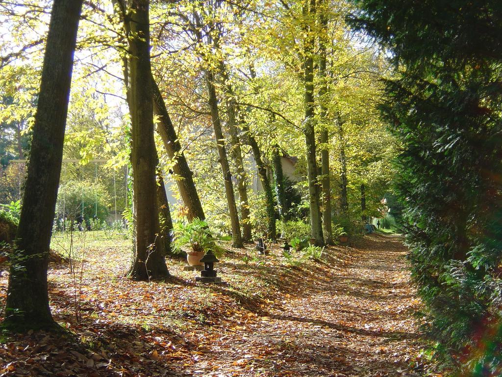 Domaine De Chantemerles Fontainebleau Exteriör bild