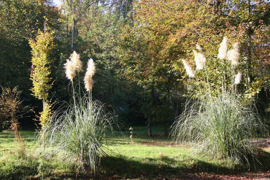 Domaine De Chantemerles Fontainebleau Exteriör bild