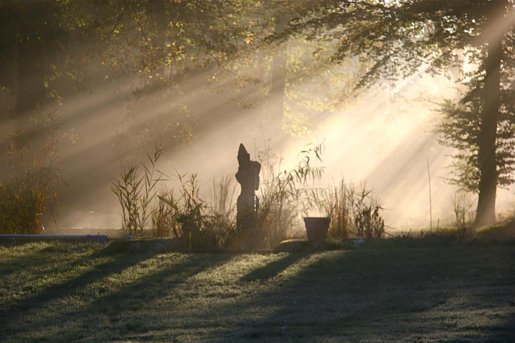 Domaine De Chantemerles Fontainebleau Exteriör bild