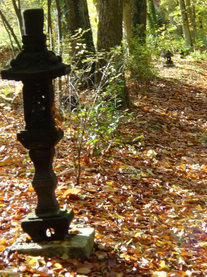 Domaine De Chantemerles Fontainebleau Exteriör bild